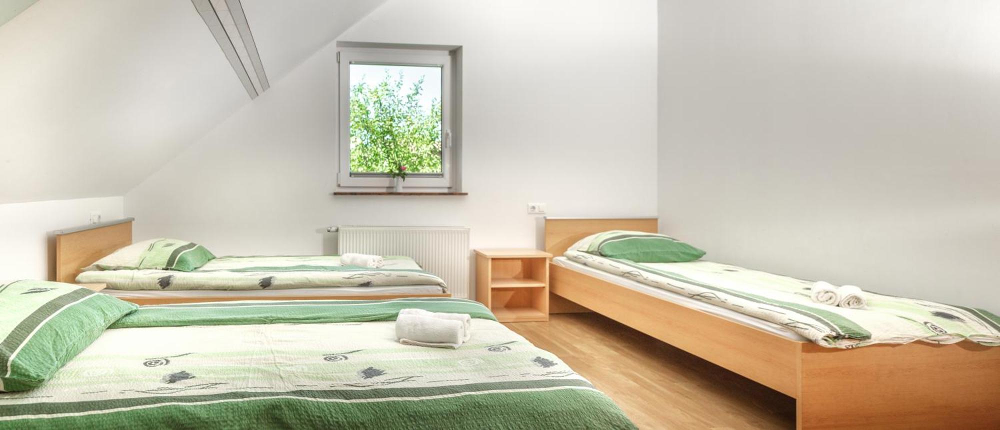 Apartments Suster Stari Trg ob Kolpi Phòng bức ảnh